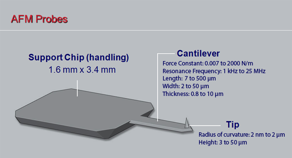 AFM Probe Scheme AFM Probe Scheme