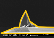 Gold Coated AFM Tip
