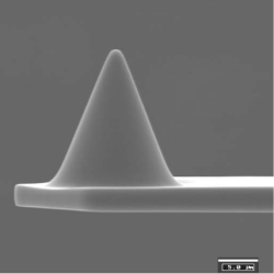  AFM tip