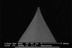  PPP-LC-MFMR AFM tip closeup