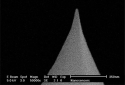  Point Probe AFM tip