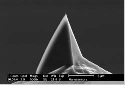  Point Probe AFM tip side view