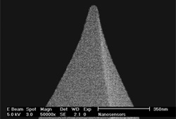  PointProbe AFM tip hardmagnetic coating