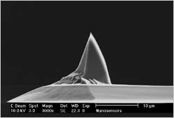  PointProbe AFM tip side view