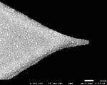 PtSi-NCH