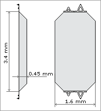  SiNi holderchip