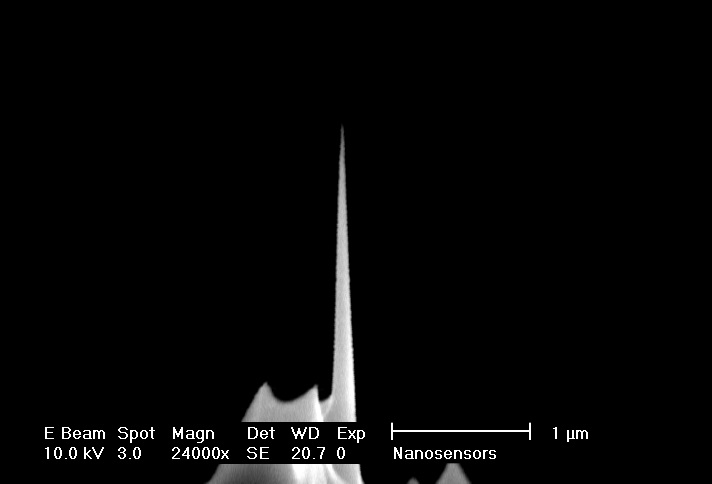 Close up SEM image of AR10 high aspect ratio AFM tip