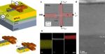 BudgetSensors® ElectriTap300-G AFM probes have been used for piezoresponse force microscopy characterization of the MESO nanodevice