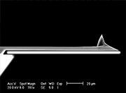 Rotated AFM Tip