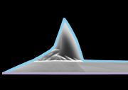 DLC Coated AFM tip