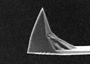 Extra Tall AFM Tip