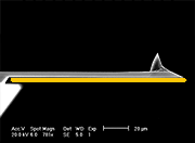 AFM Cantilever with Gold Reflex Coating