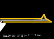 Gold Coated AFM Tip