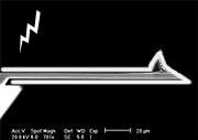 AFM Cantilever with Electrically Conductive Platinum Coating