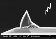 Platinum/Iridium Coated AFM Tip