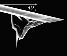 Tilt Compensated High Aspect Ratio AFM Tip