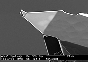 Arrow™ UHF AFM Cantilever