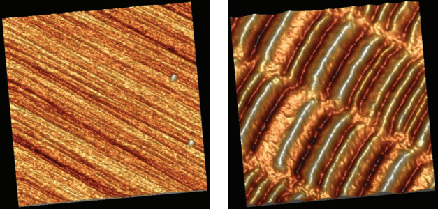 AFM topography scan (left) and cross section (right)