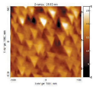 AFM topography scan of the TipCheck