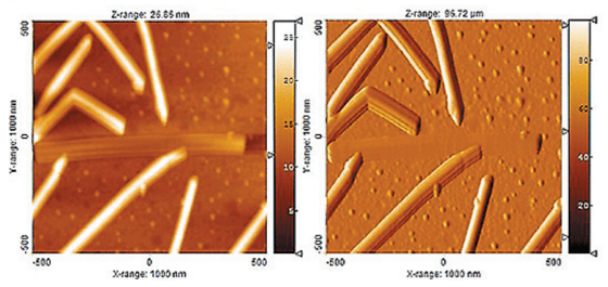 AFM topography (left) and deflection (right) scans