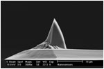 Rotated AFM Tip