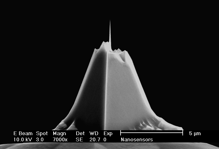 Front view SEM image of AR10 high aspect ratio AFM tip