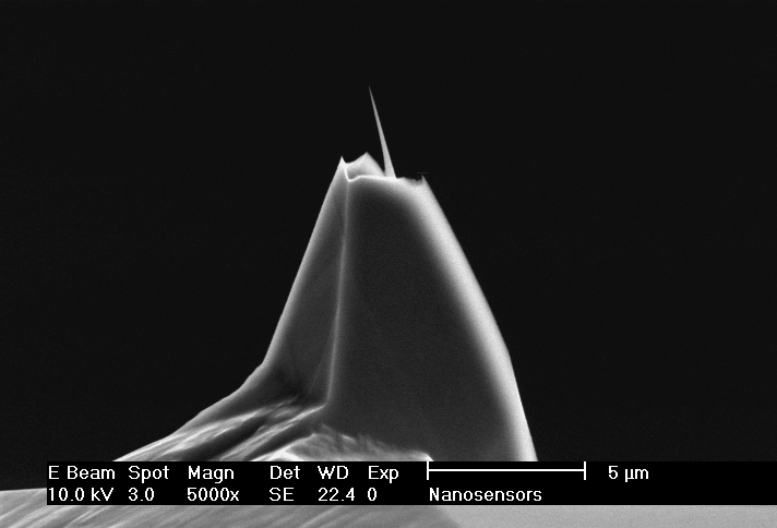 Side view SEM image of AR10T high aspect ratio AFM tip