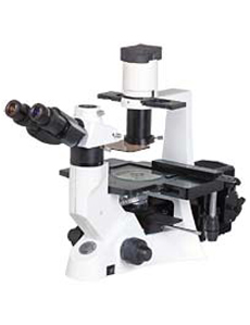 Fluor2 microscope