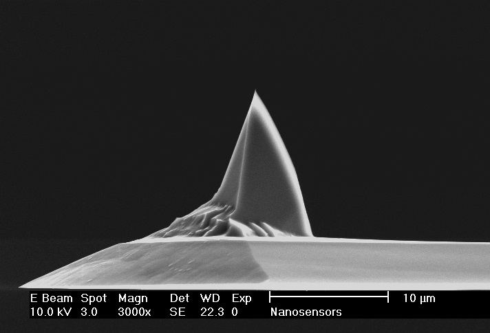 Side view SEM image of PointProbe® Plus AFM tip