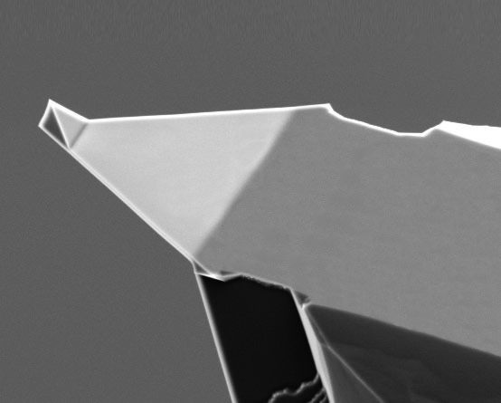 SEM image of Arrow™ UHF AFM probe