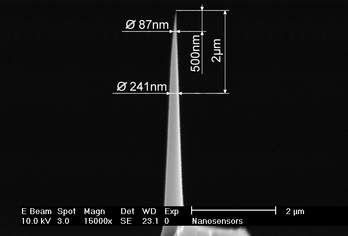 Close-up view SEM image of  AR5 AFM tip