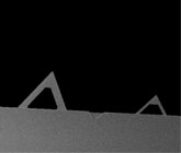 SEM image of PNP triangular tipless pyrex nitride AFM cantilevers