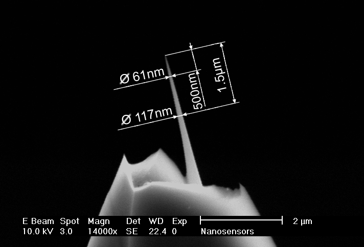 Close-up view SEM image of AR10T high aspect ratio AFM tip