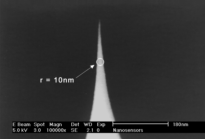 Close-up view SEM image of SuperSharpSilicon AFM tip