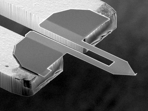 SEM image of A-Probe tuning fork, AFM cantilever and AFM tip