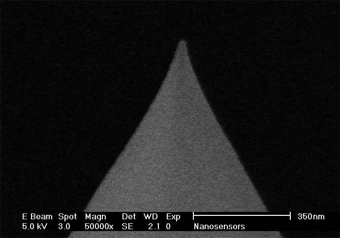 Close-up SEM image of PPP-LC-MFMR AFM tip