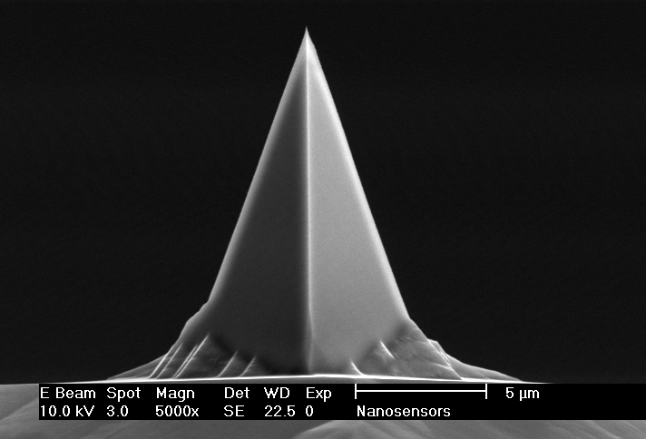 Front view SEM image of PointProbe® Plus AFM tip