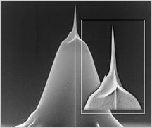 SEM images of AR5 high aspect ratio AFM tip