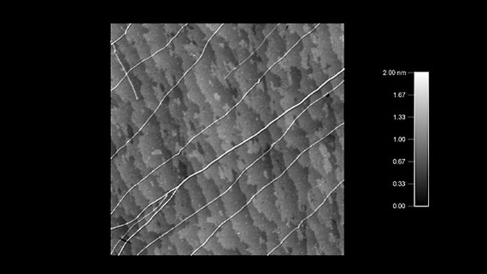 Carbon nanotubes on quartz