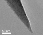 Close-up view SEM image of PointProbe® Plus AFM tip