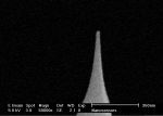 SEM image of SuperSharpSilicon AFM tip