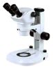 Digital Stereo Microscope