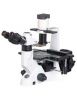 Digital Fluorescent Microscope