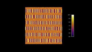 Magnetic field MFM image of a zip disk