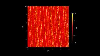 Single wall carbon nanotubes are transferred to an elastic PDMS substrate, then laterally compressed, causing the nanotubes to buckle into waves.