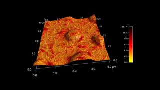 Phase image of a SEBS block copolymer, topography rendered in 3D, overlaid with the color data from the phase image