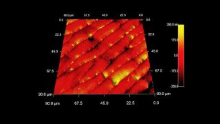 The surface of an ant's abdominal plating