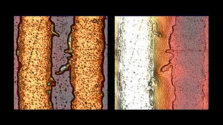 Electrostatic Force Microscopy (EFM) test sample with differently biased metal lines. The topographic data (first image) shows two metal lines and the electrostatic force data helps distinguish between the biased line (left, 2 Volts) and the grounded one (right).