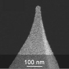 SEM image of gold coated AFM probe tip close-up