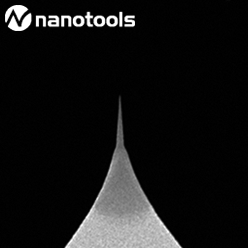 SEM image of biotool cell AFM tip